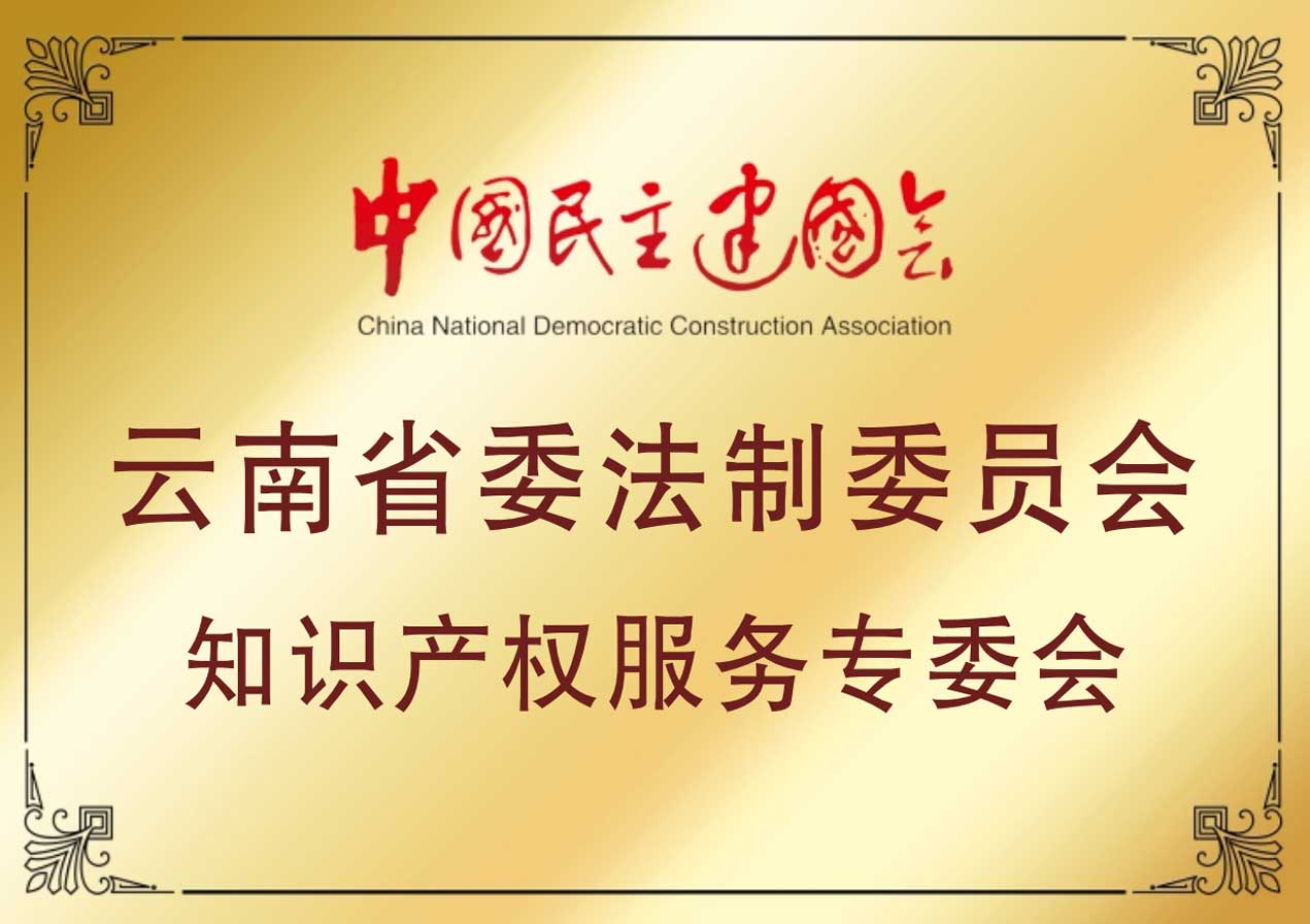 民建云南法制委知识产权专委会